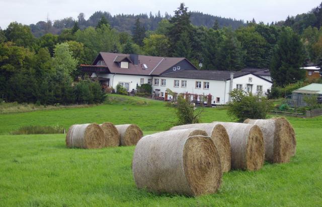 Wiesen hinter der Pension